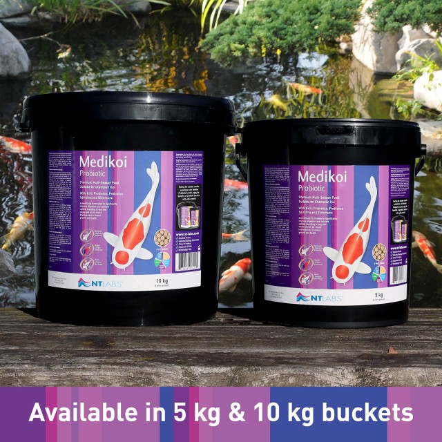 Medikoi Probiotic_Buckets