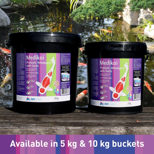 Medikoi Probiotic Wheatgerm_Buckets