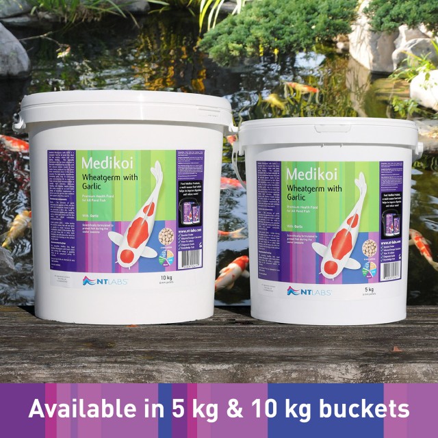 Medikoi Wheatgerm_Buckets